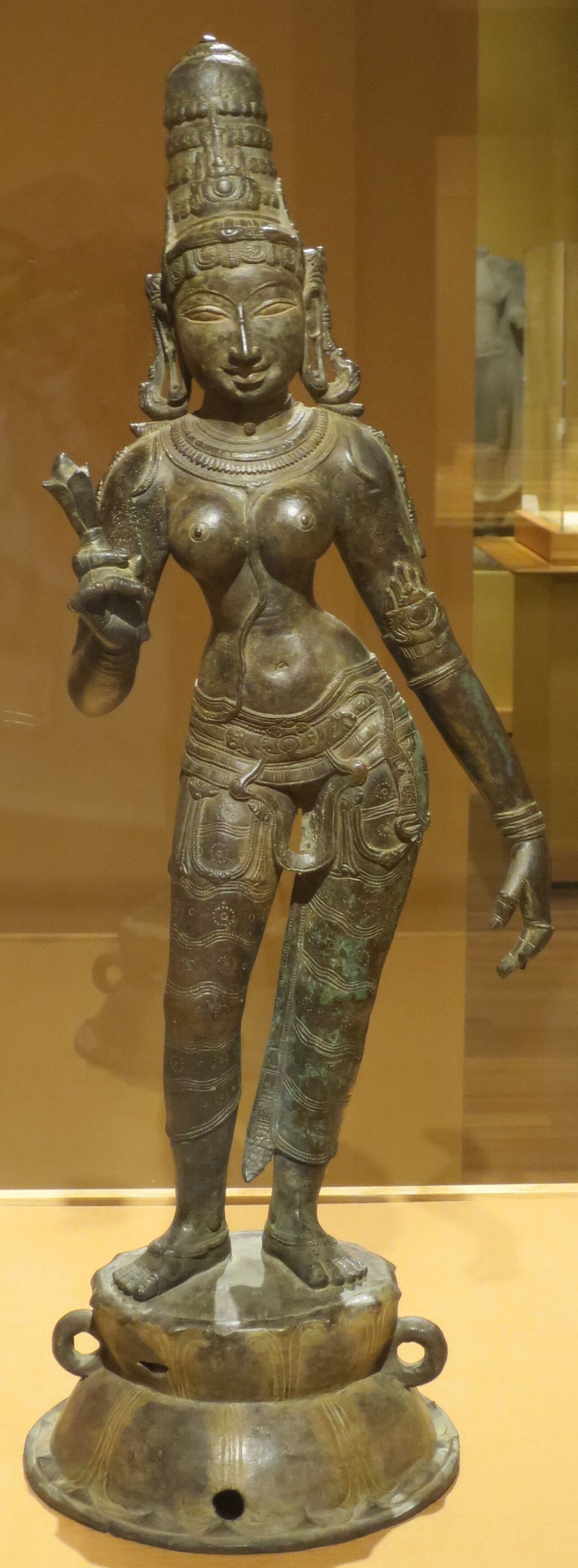 A Chola-period bronze statue of the goddess Parvati standing on a lotus pedestal and holding a lotus bud, photographed at the Honolulu Museum of Art.