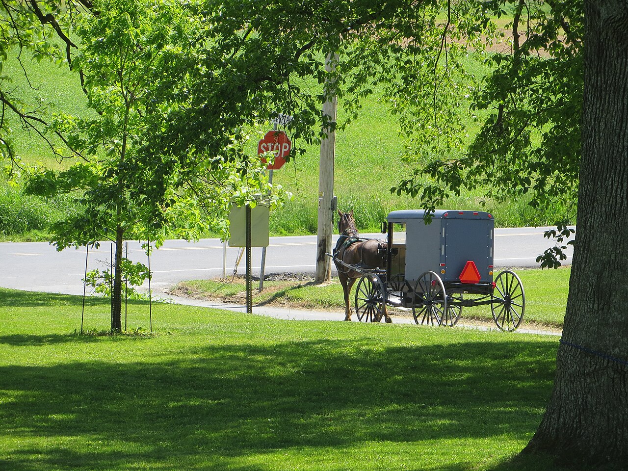 An Amish horse-drawn buggy on a road in Lancaster County, Pennsylvania.