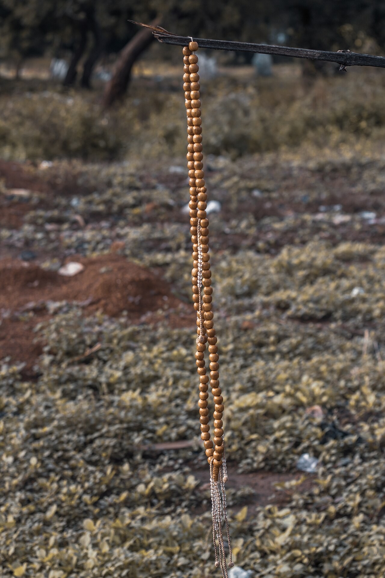A tasbīḥ, the strand of prayer beads used to count the phrases of dhikr.