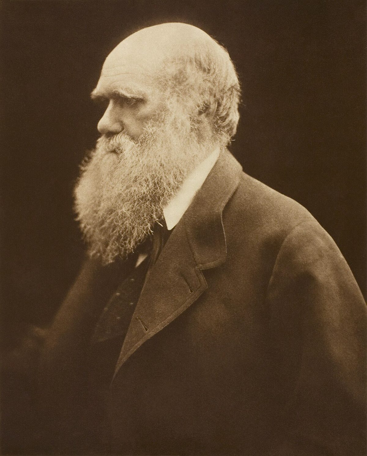 Illustration for A Short Critique of Darwinism