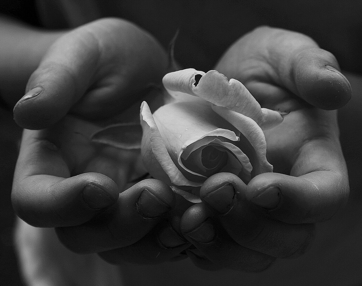 Illustration for Forbidden Grief