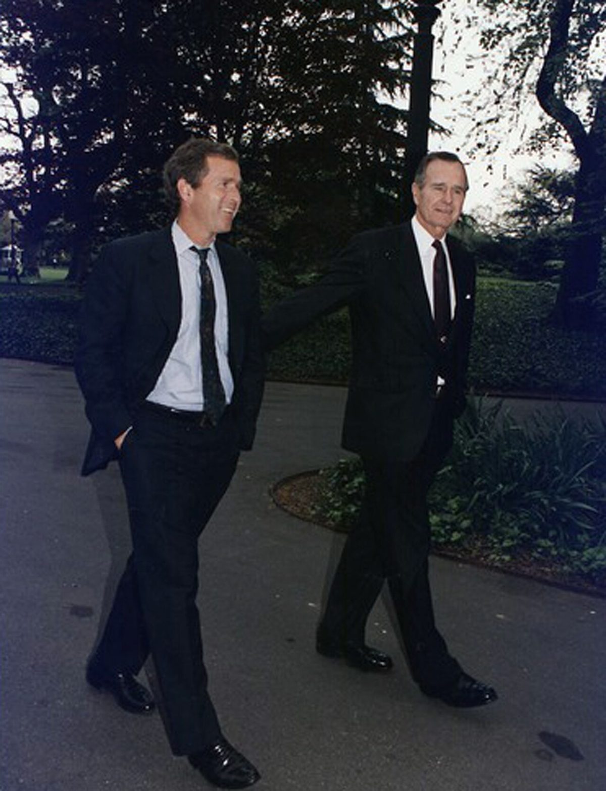 Illustration for President Bush on Embryonic Stem Cells