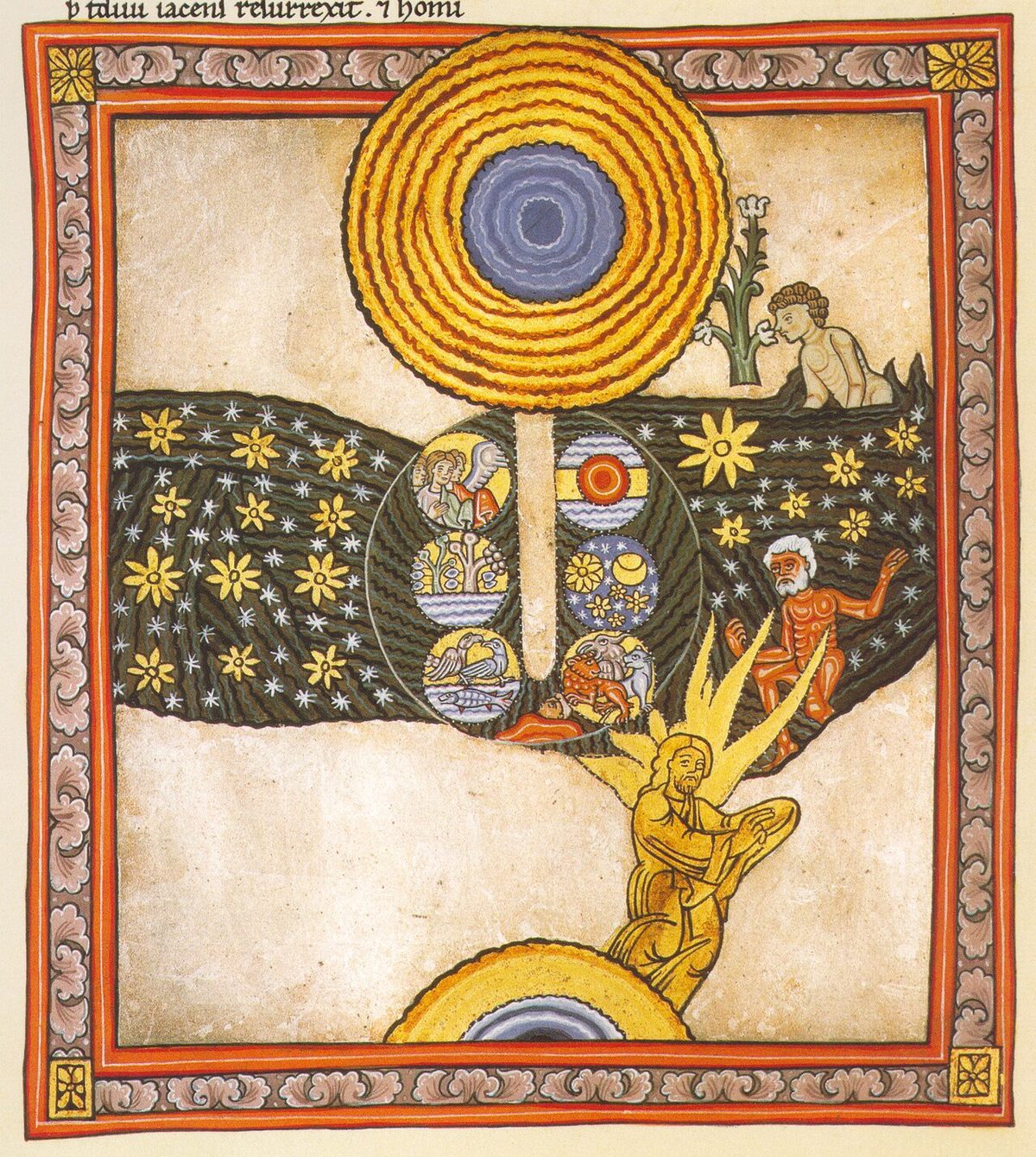 Illustration for What every theologian should know about creation, evolution and design