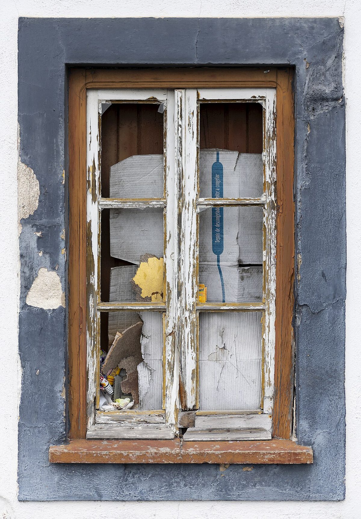 Illustration for Window to Creation