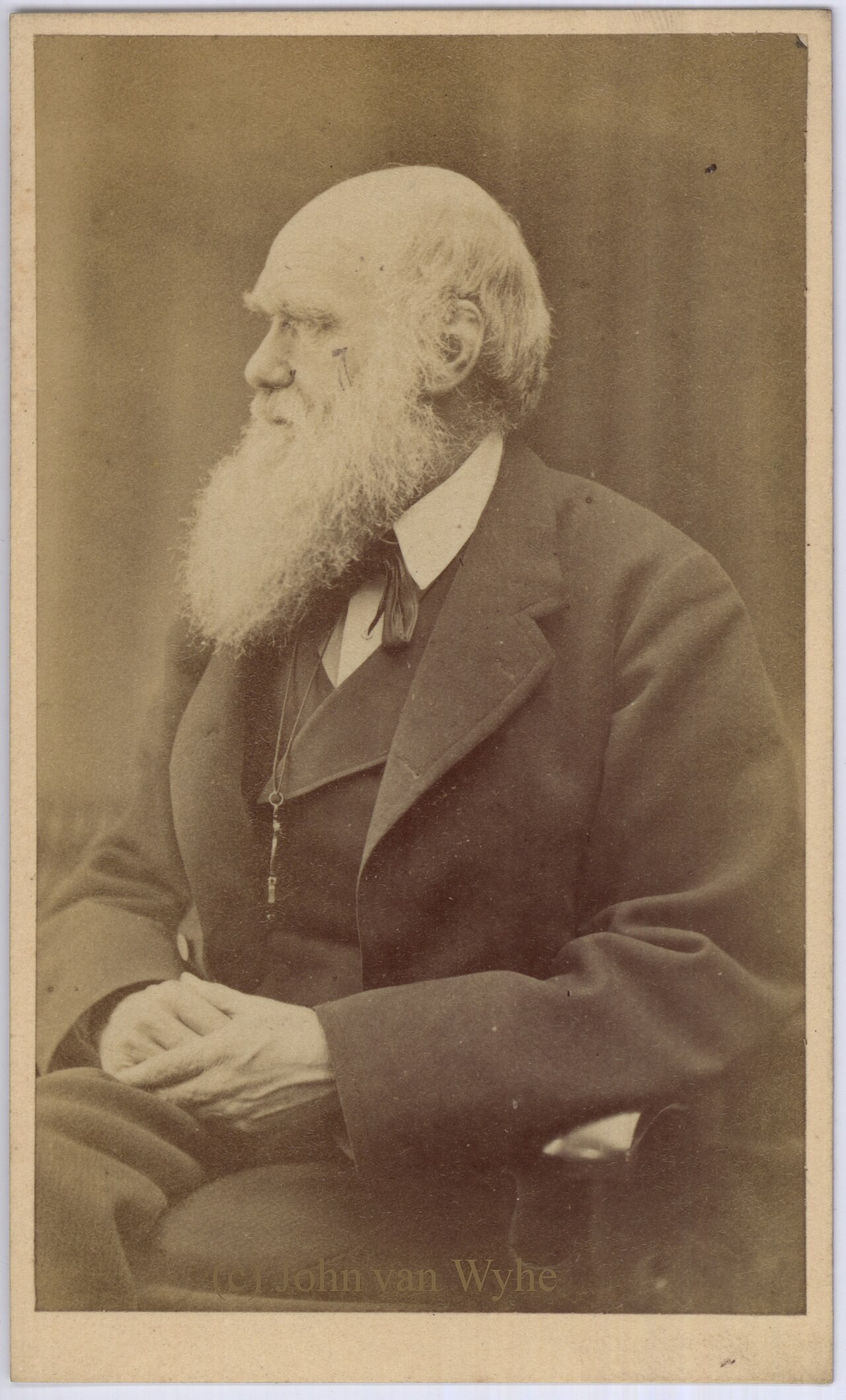 Oscar Rejlander's photograph of Charles Darwin, white-bearded and seated in a dark suit.