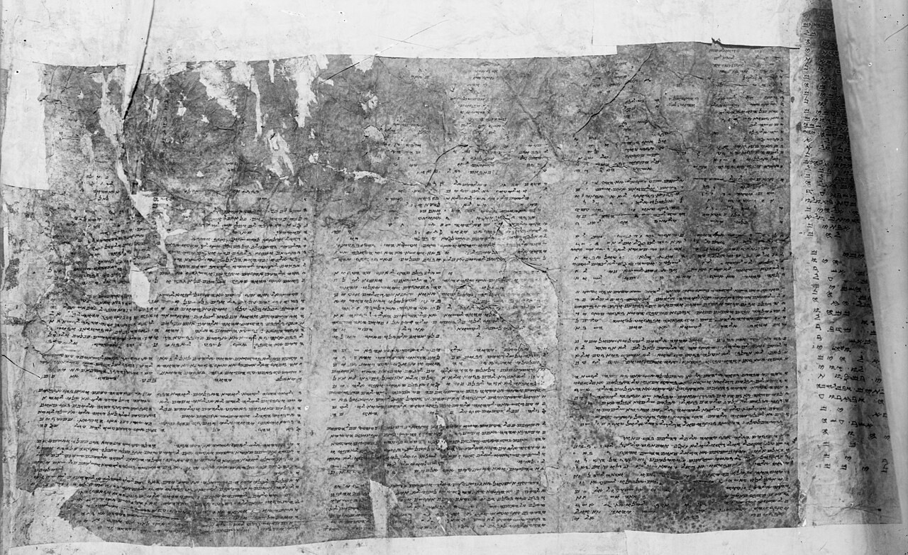 A sheet of the Samaritan Pentateuch scroll, its columns written in the Samaritan alphabet, the community's own descendant of the old Hebrew script.