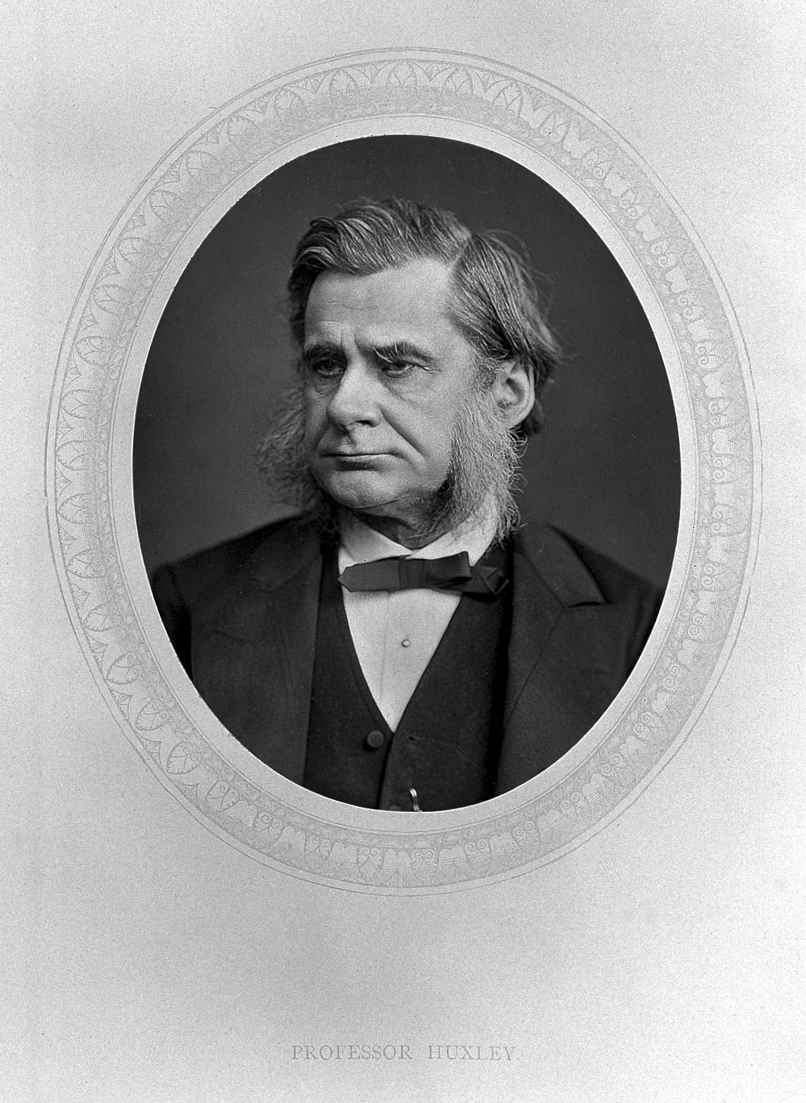 A photographic portrait of Thomas Henry Huxley in an oval frame, captioned Professor Huxley, the bearded sitter in bow tie and waistcoat.