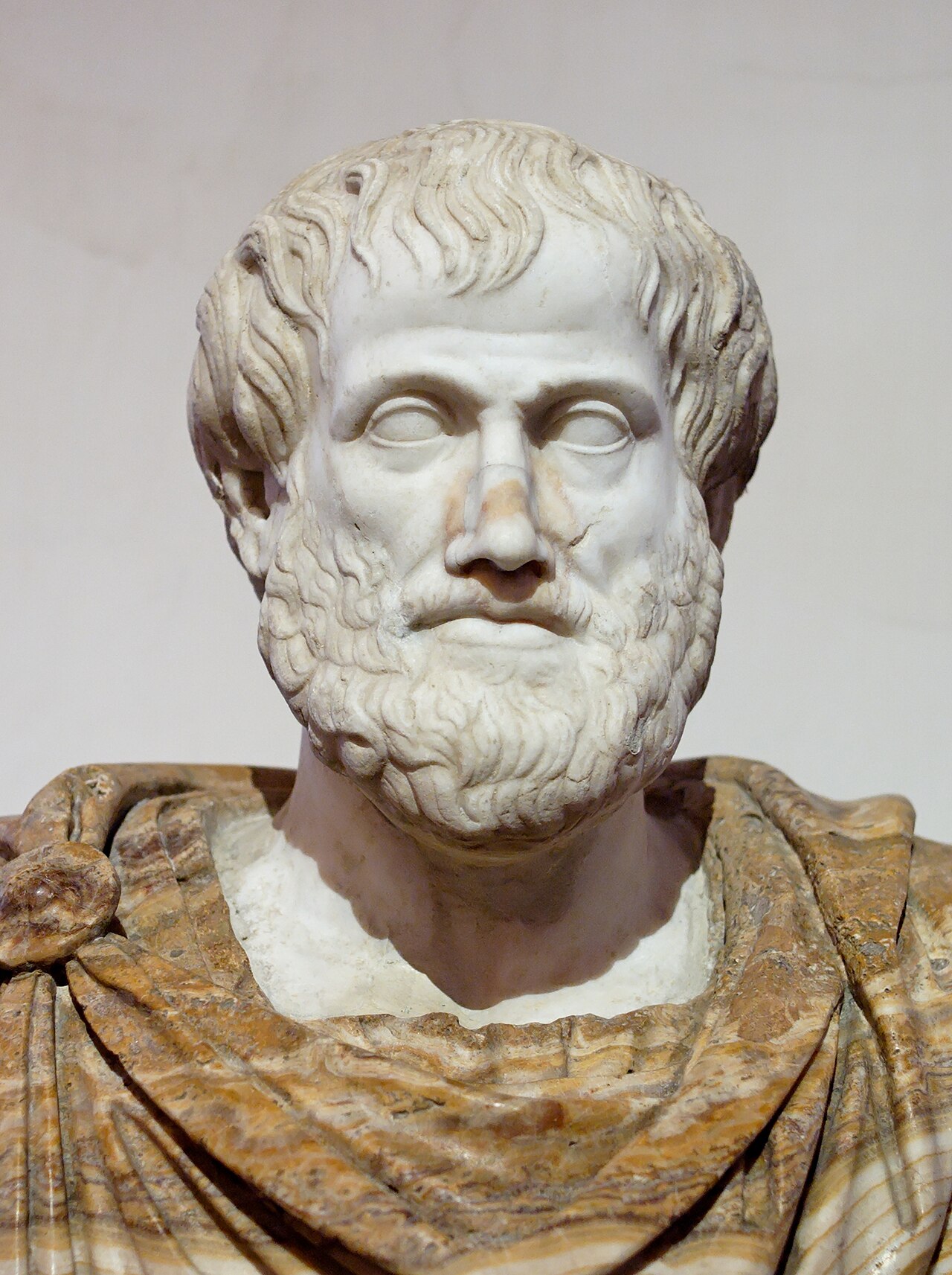 The white marble head of Aristotle set on a veined alabaster draped bust.
