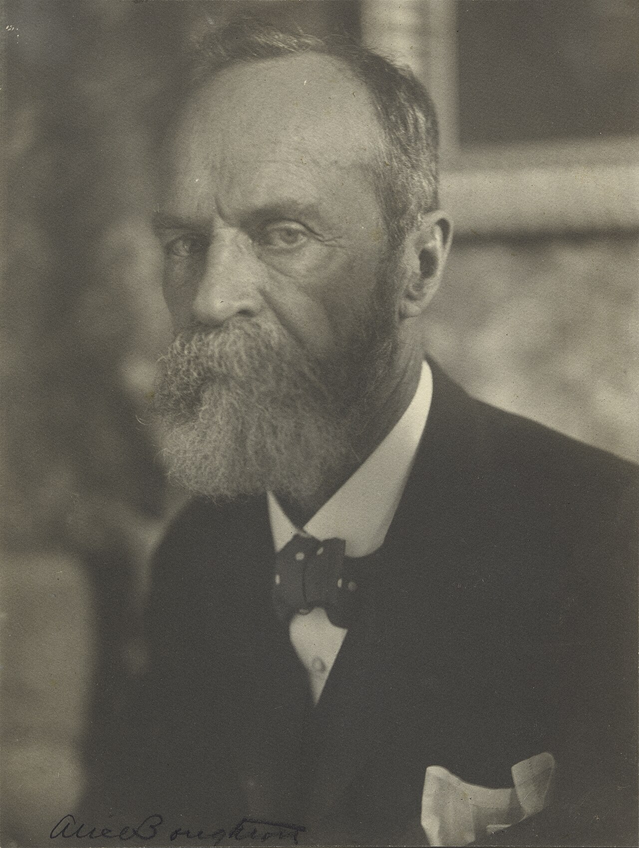Alice Boughton's platinum-print portrait of William James, grey-bearded, in three-quarter view with a bow tie and pocket handkerchief.